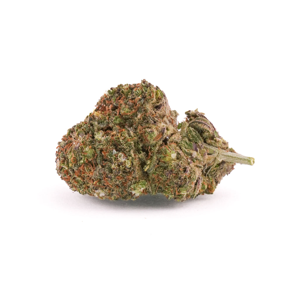 Tannen Busch CBD Blüten